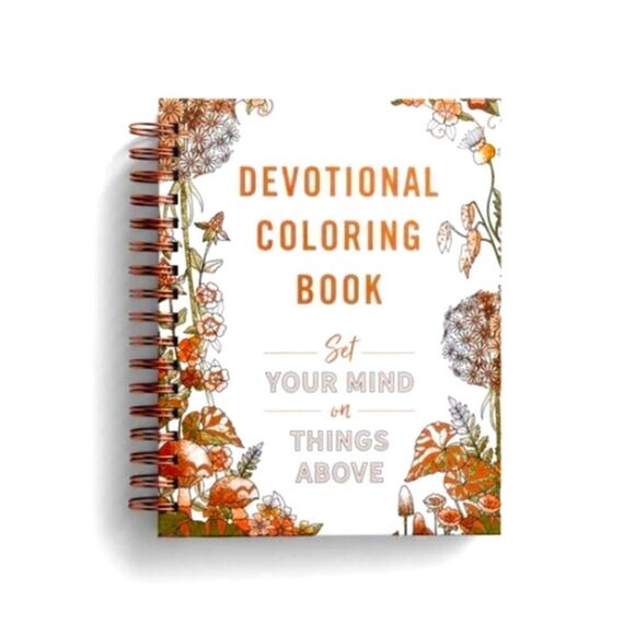 COLORING BOOK  DEVOTIONAL  "SET Your MIND on THINGS ABOVE" BEAUTIFUL ART  Gift! - Picture 1 of 10